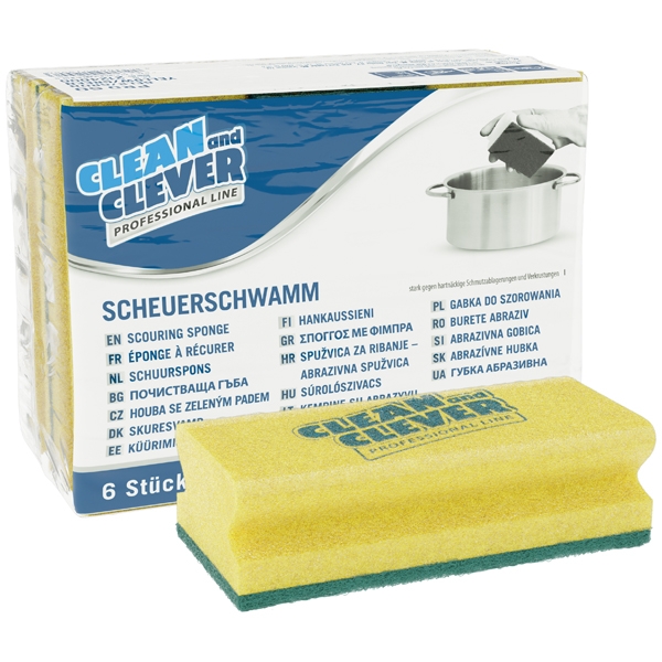 CLEAN and CLEVER PROFESSIONAL Scheuerschwamm PRO 60